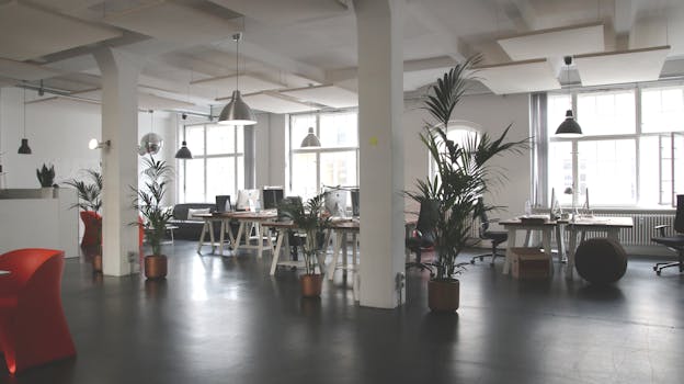 bright workspace with plants