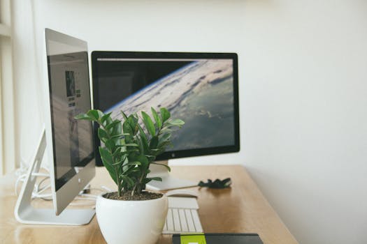 ergonomic office setup example